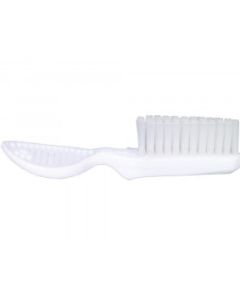 Toothbrush Thumb Held