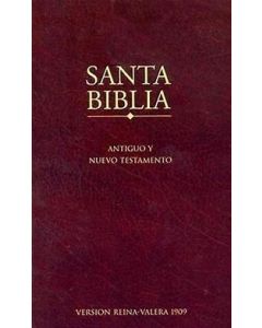 Bible Spanish